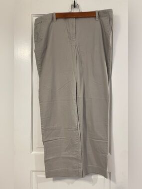 Ann Taylor Loft Straight Leg Brushed Cotton Chinos in Light Greige Size 18